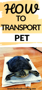 pet transport service