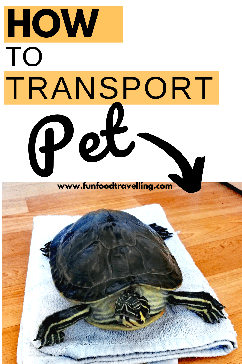 pet transport