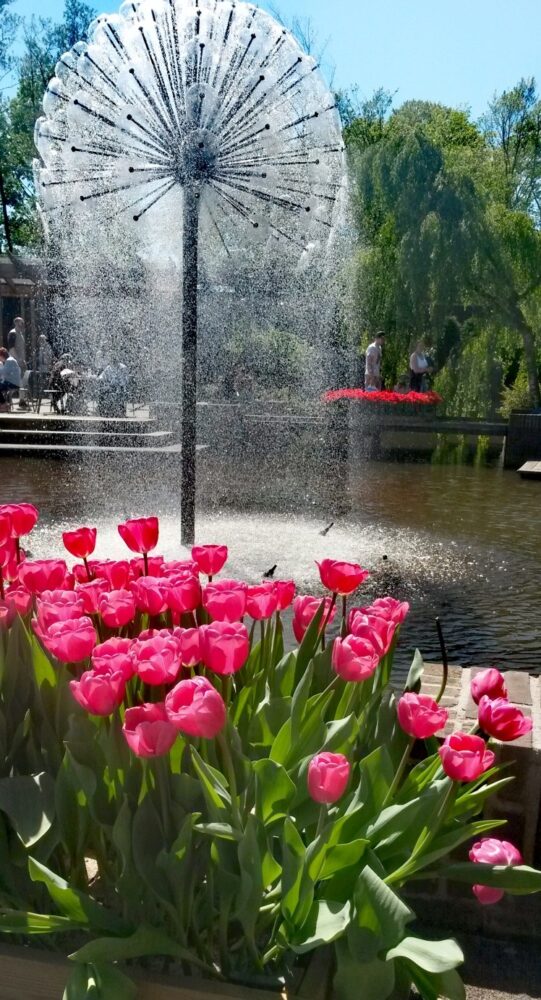 tulip-garden-netherlands