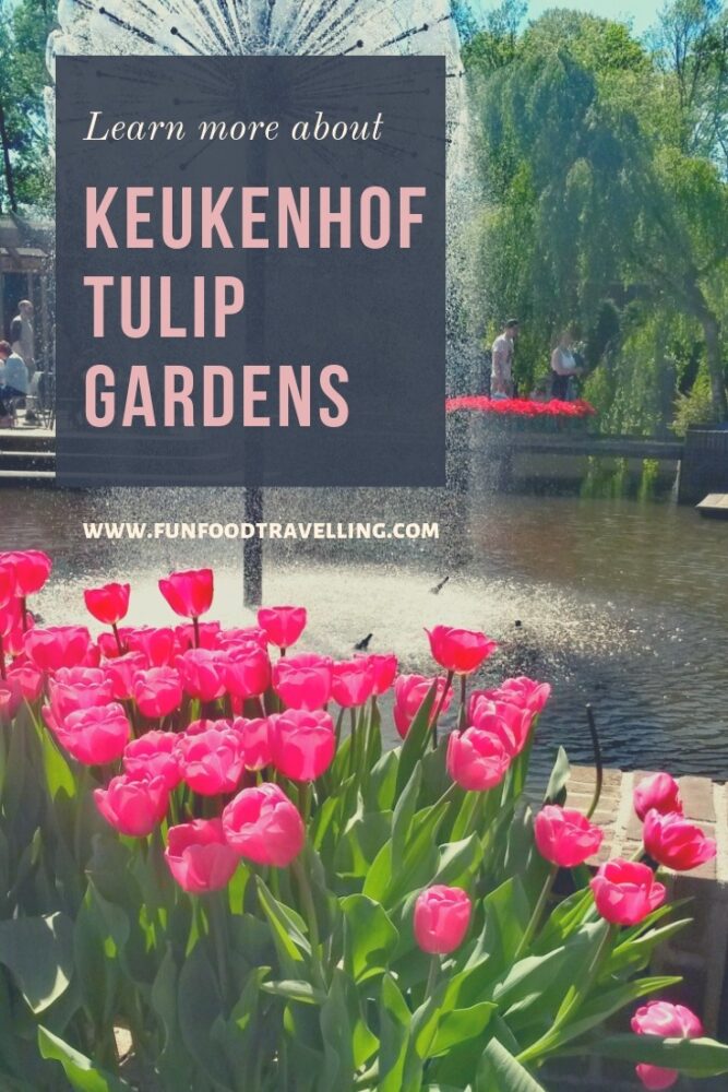 Tulip Gardens