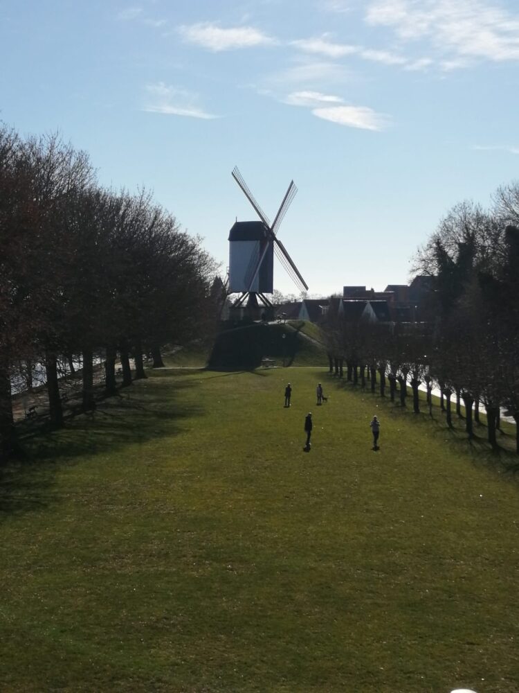 one day in bruges