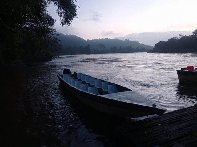 visitar-borneo