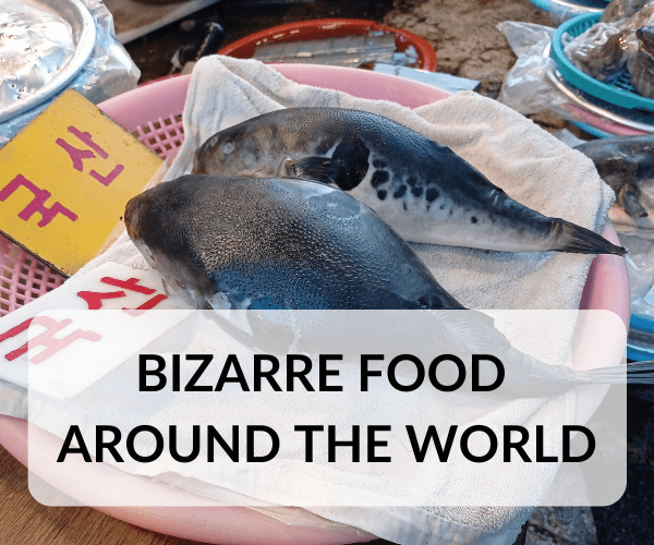 bizzare-food-around-the-world