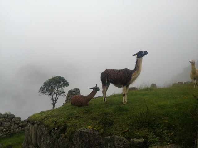 Peru