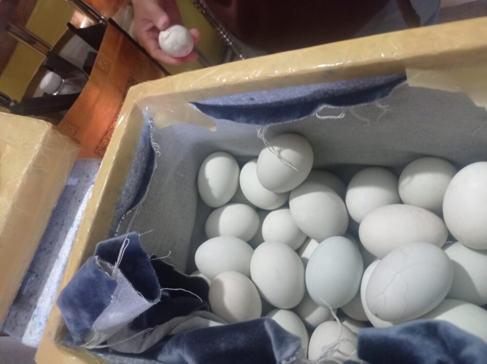 balut-en-filipinas