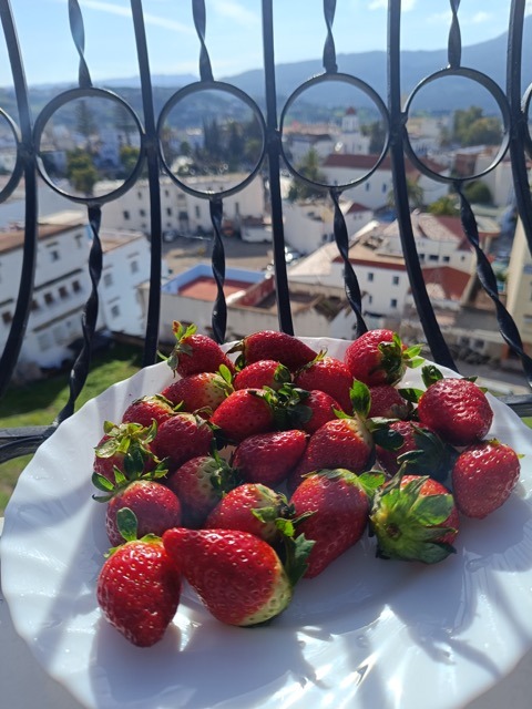 comida-para-ir-de-excursion