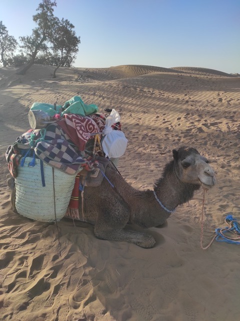 Qué ver en Marruecos