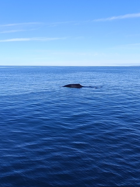 Círculo Diamante en Islandia