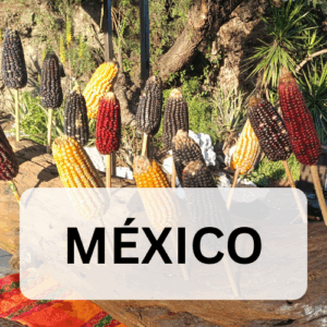 MÉXICO