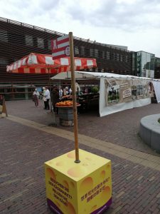 follow the cheese box to find the Alkmaar cheese market