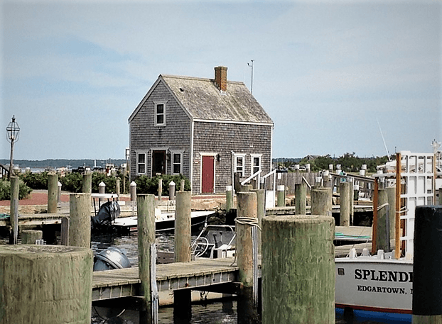 house and port with boats