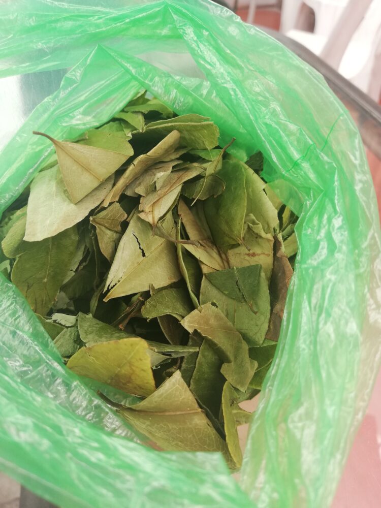 Coca leaves